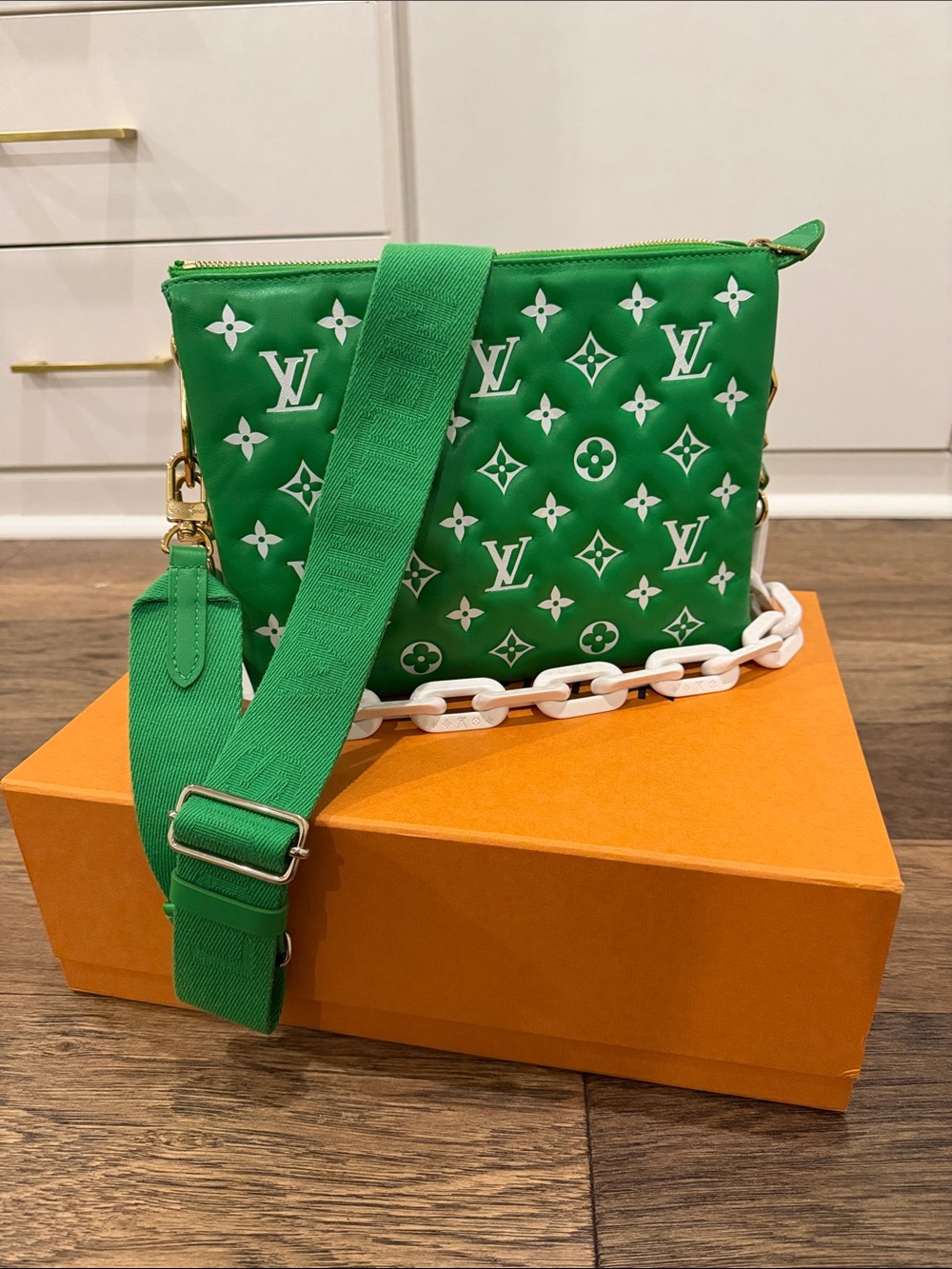 Limited Edition Louis Vuitton Coussin